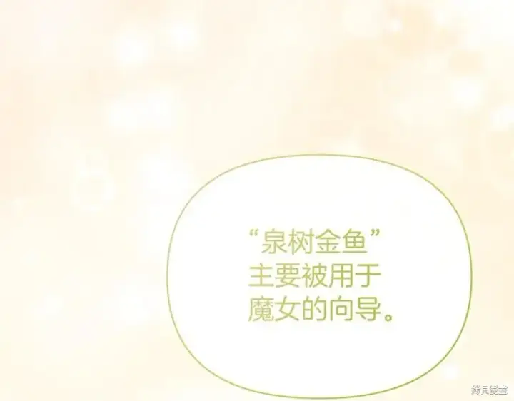 《当女巫的女儿解除了男主的诅咒》第31话图164