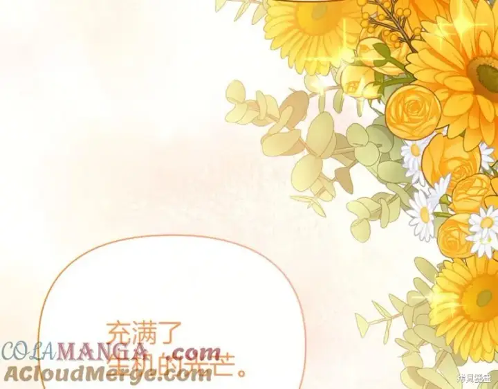 《当女巫的女儿解除了男主的诅咒》第32话图165
