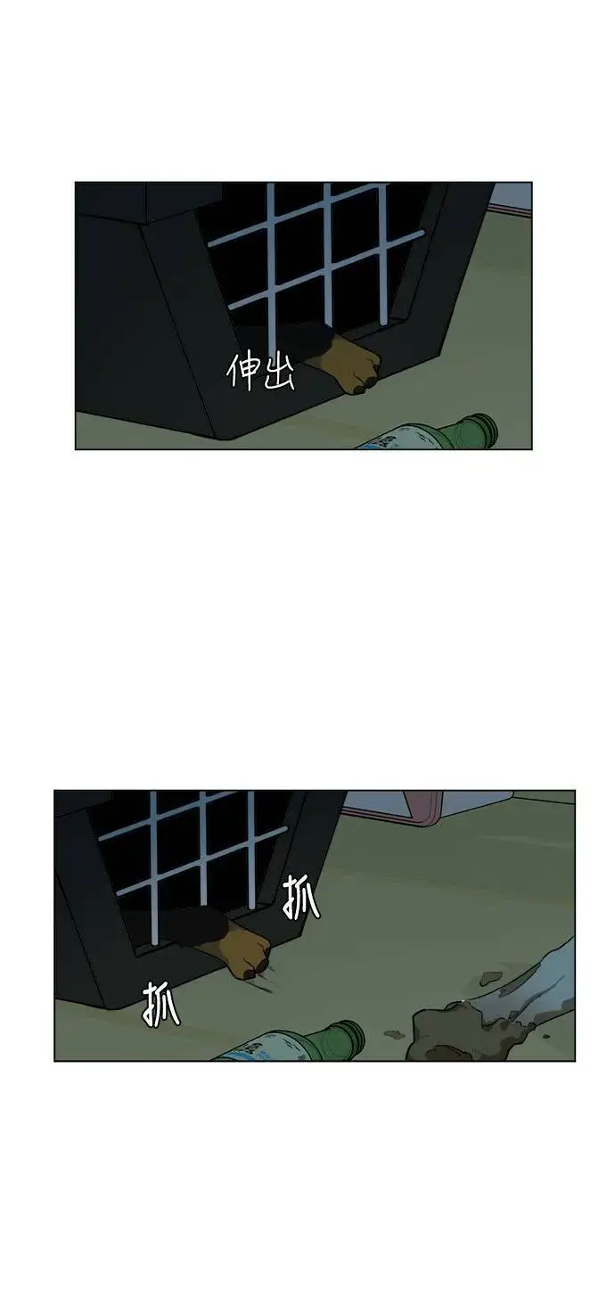 《盗脸人生》崔宝润 10图7
