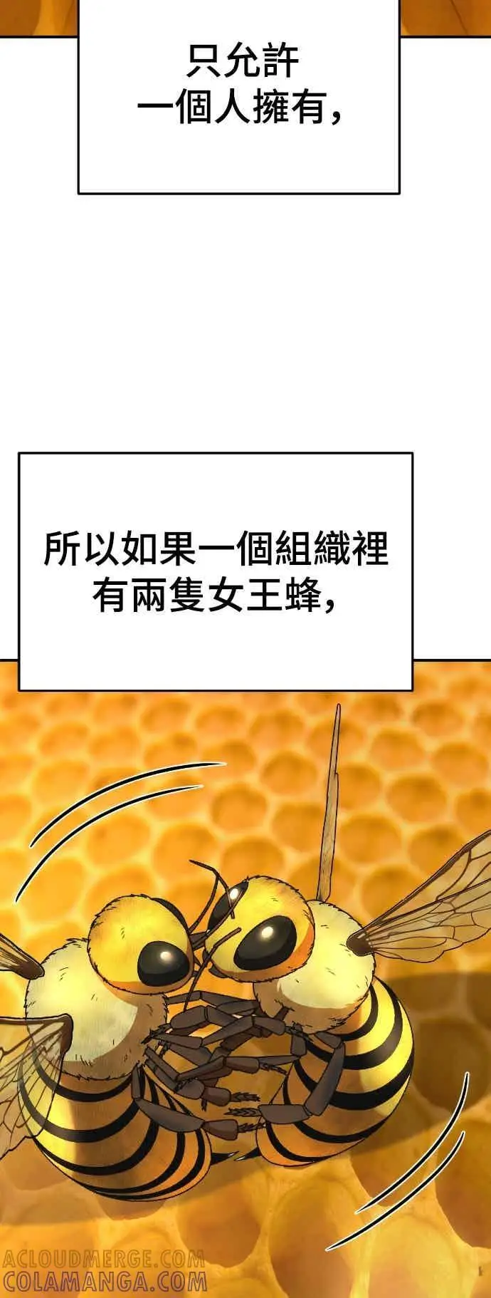 《盗脸人生》S3 玄女主 4图49