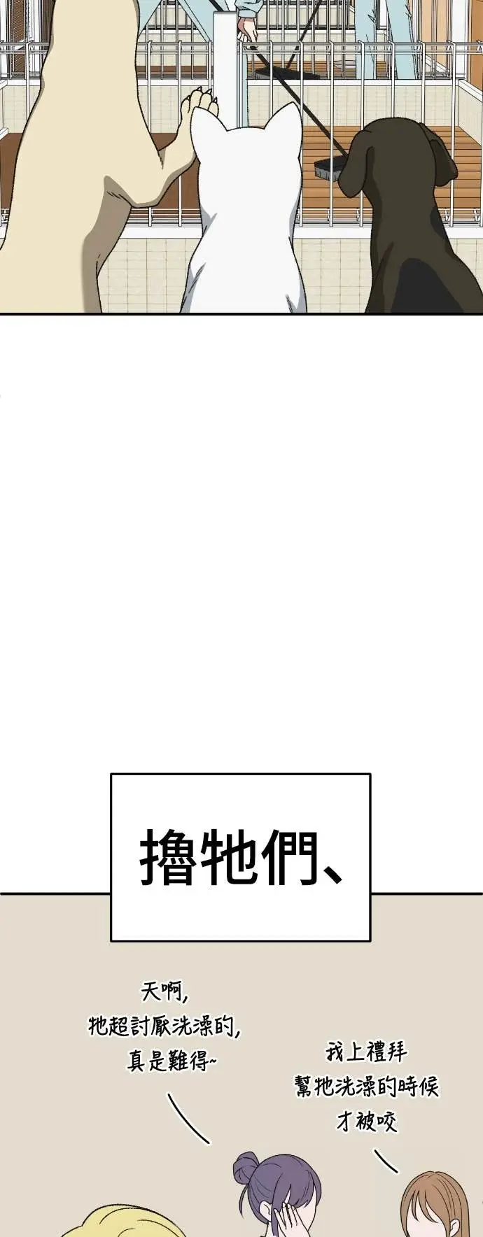 《盗脸人生》S3 玄女主 8图39
