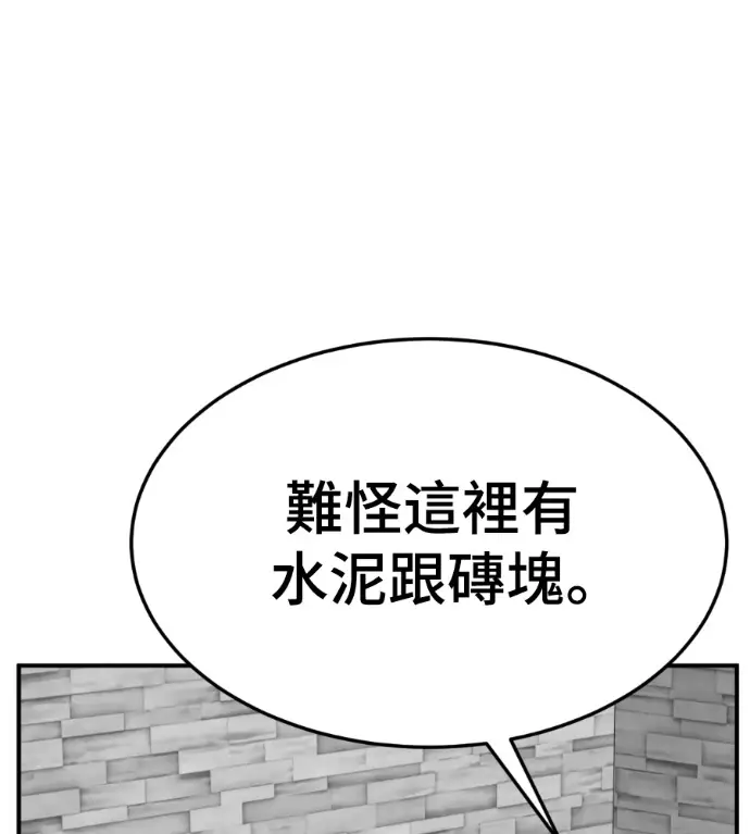 《盗脸人生》S3 桂米秦 10图45