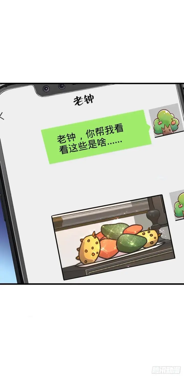 《大王饶命》340 梧桐木图6