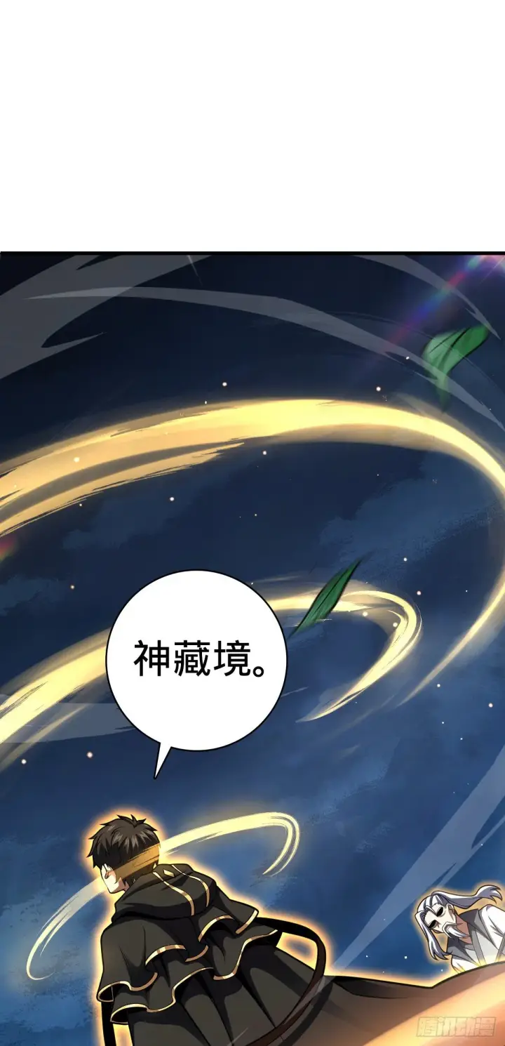 《大王饶命》422 神藏境图35