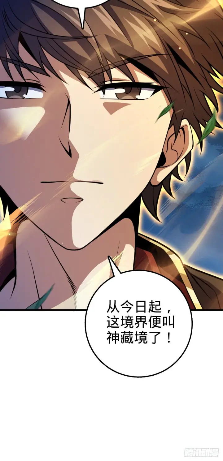 《大王饶命》422 神藏境图37