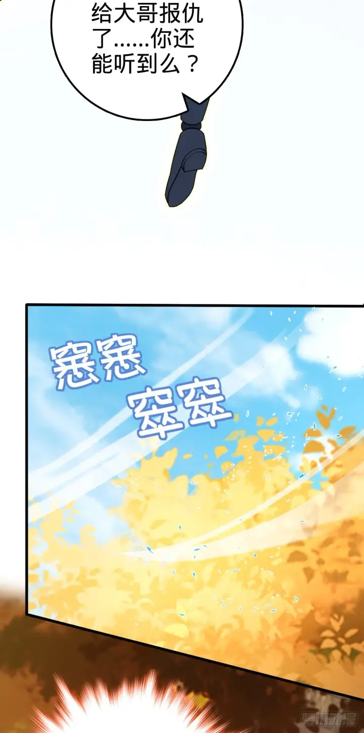 《大王饶命》489 真正的天罗图28