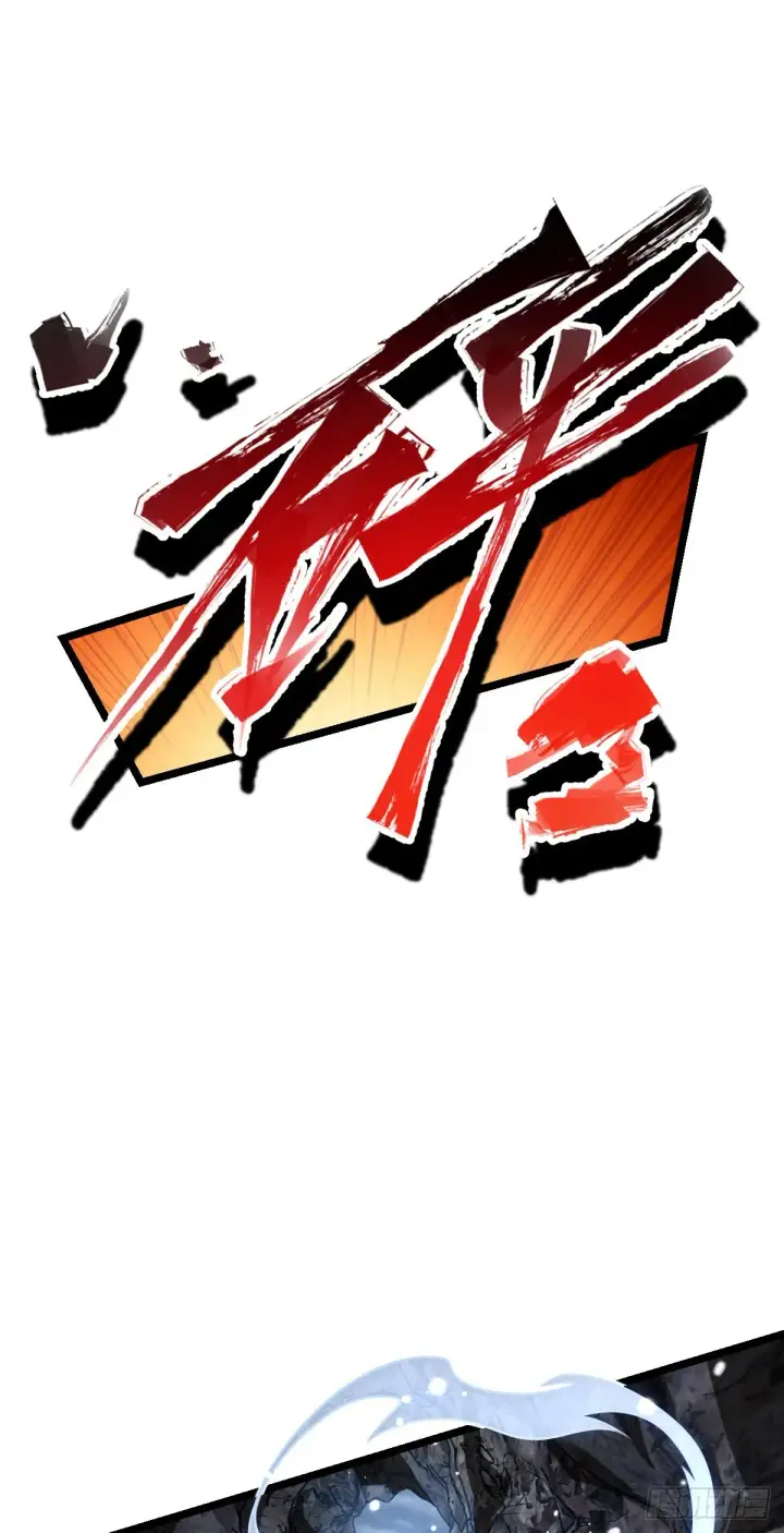 《大王饶命》569 大王的手笔图33