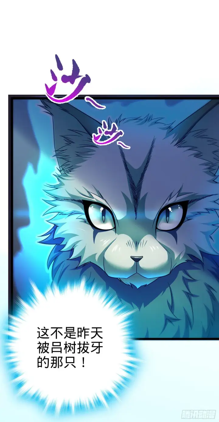 《大王饶命》79 皮皮猪，我们走！图14