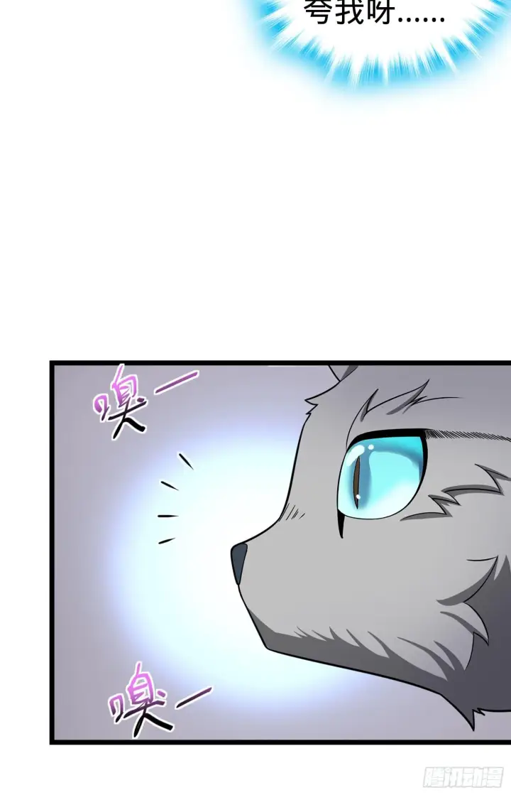 《大王饶命》79 皮皮猪，我们走！图46