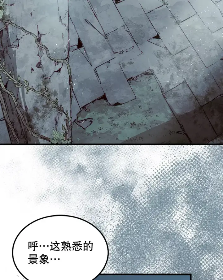 《第31枚棋子打翻棋盘》3.影子召唤师图40