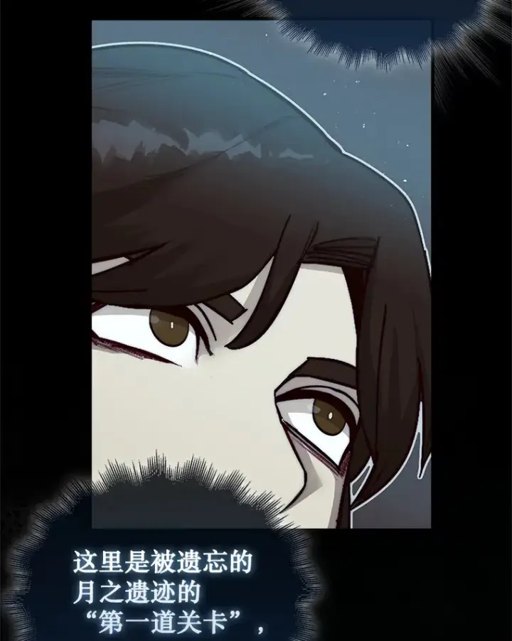 《第31枚棋子打翻棋盘》3.影子召唤师图66