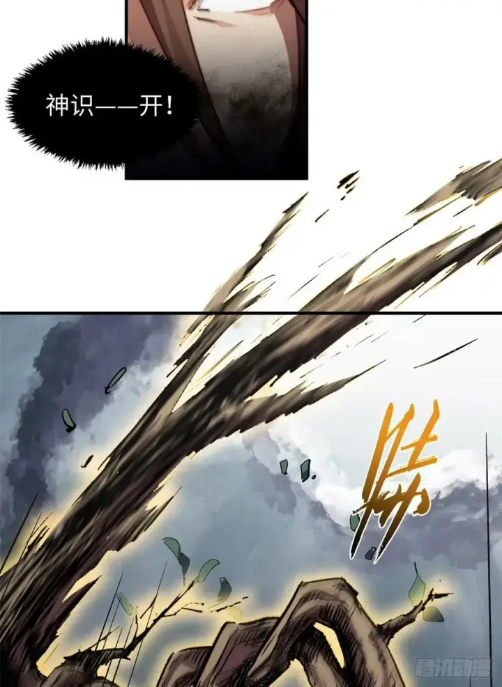《顶级气运，悄悄修炼千年》83 朱雀之子图39