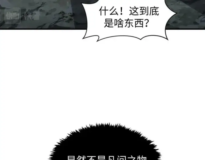 《顶级气运，悄悄修炼千年》112 世间最强之人？图139