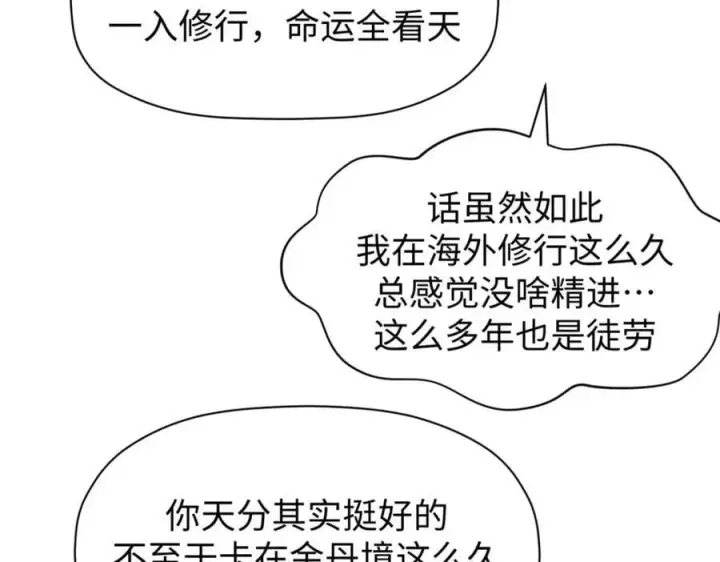 《顶级气运，悄悄修炼千年》118 苏岐的归途图100