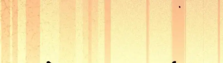 《顶级气运，悄悄修炼千年》118 苏岐的归途图48