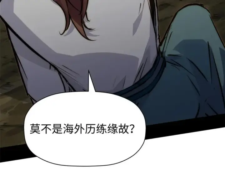 《顶级气运，悄悄修炼千年》118 苏岐的归途图83