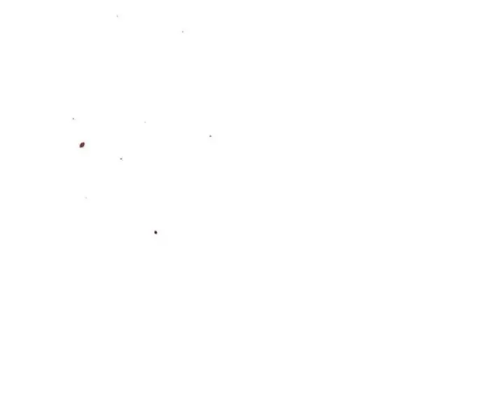 《顶级气运，悄悄修炼千年》119 遗迹图235