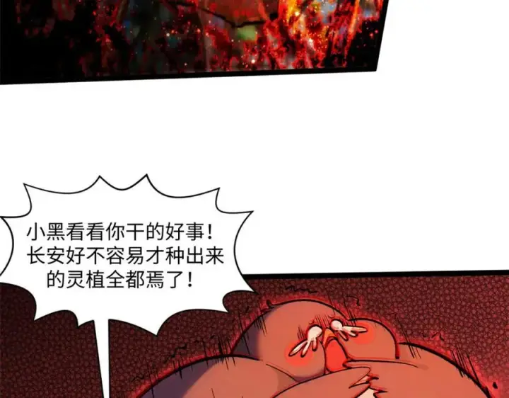 《顶级气运，悄悄修炼千年》149 收服金乌图16