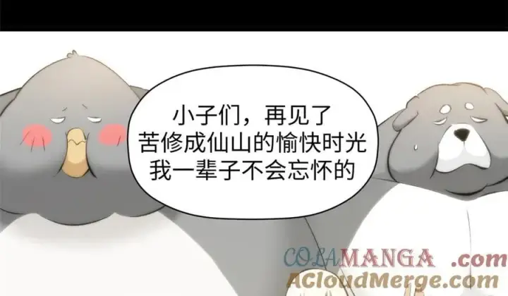 《顶级气运，悄悄修炼千年》189 再见,李掌教图237