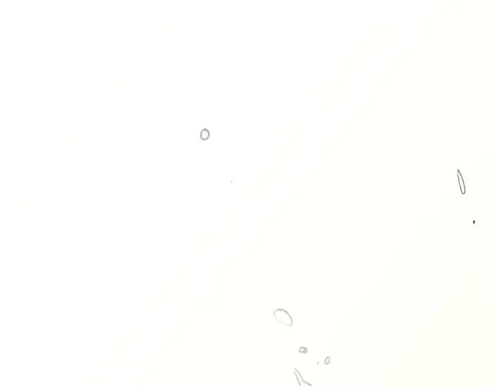 《顶级气运，悄悄修炼千年》192 娶妻？！啊？图183