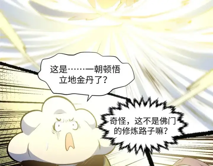 《顶级气运，悄悄修炼千年》212 立地金丹图156