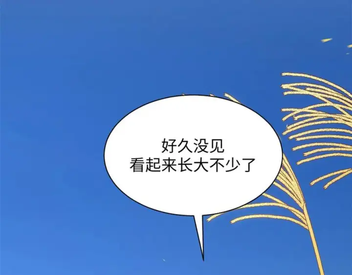 《顶级气运，悄悄修炼千年》221 三清诛世，九重天图200