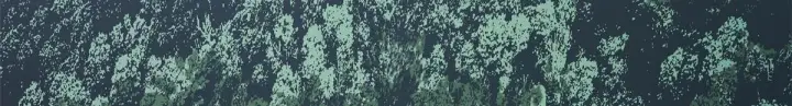 《顶级气运，悄悄修炼千年》232图162