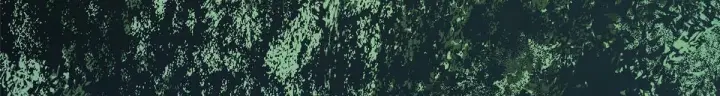 《顶级气运，悄悄修炼千年》232图165