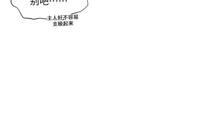 《顶级气运，悄悄修炼千年》232图54