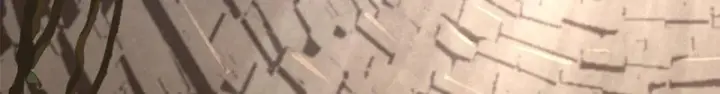 《顶级气运，悄悄修炼千年》236 星辰鸿蒙体觉醒图69