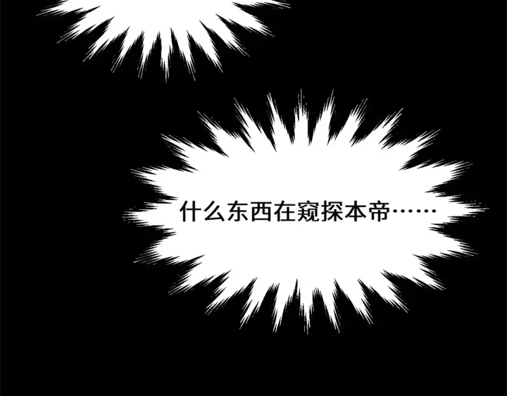 《顶级气运，悄悄修炼千年》243 炎君大帝图210
