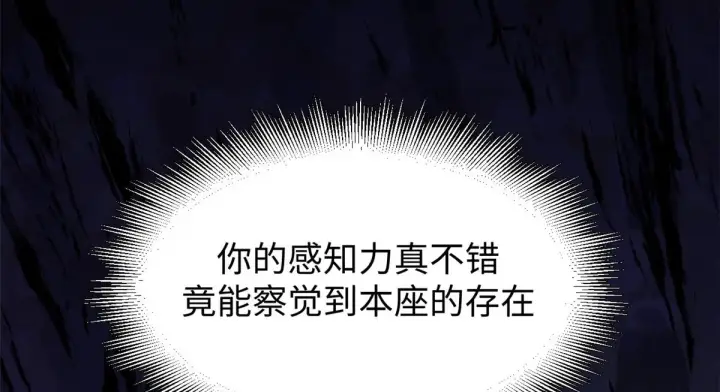 《顶级气运，悄悄修炼千年》261 厉遥的机缘图148