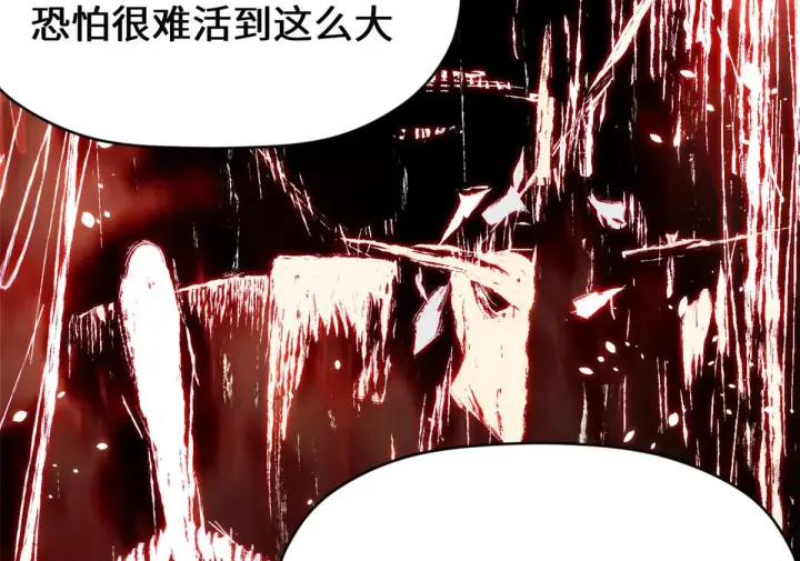 《顶级气运，悄悄修炼千年》261 厉遥的机缘图44