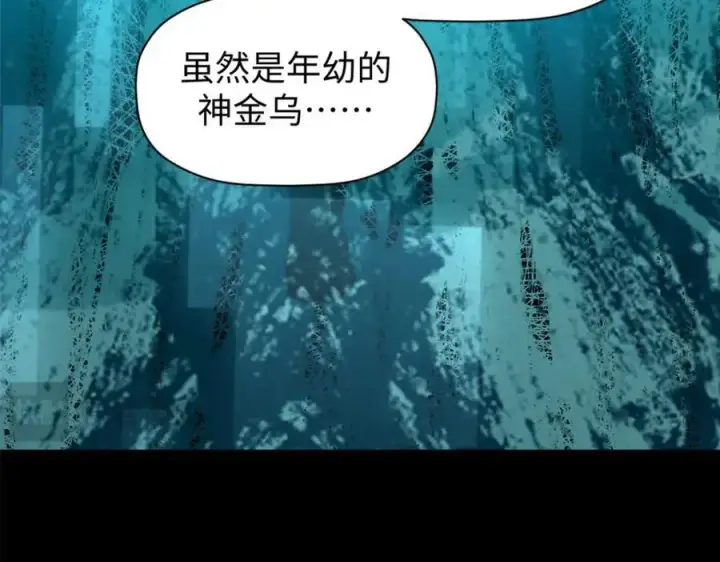 《顶级气运，悄悄修炼千年》140 金乌图95