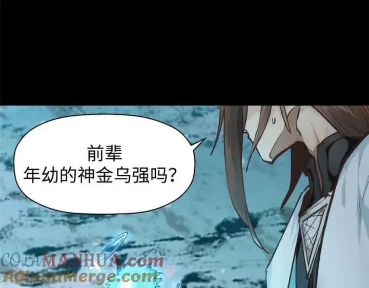 《顶级气运，悄悄修炼千年》140 金乌图97