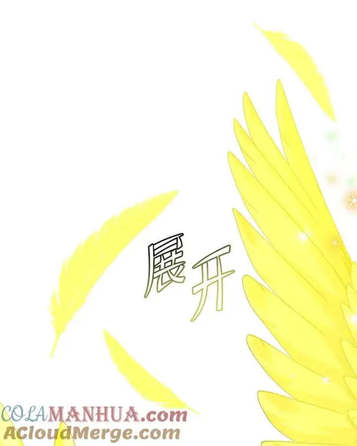 《顶级英雄归来》112.尚德拉的分身图105