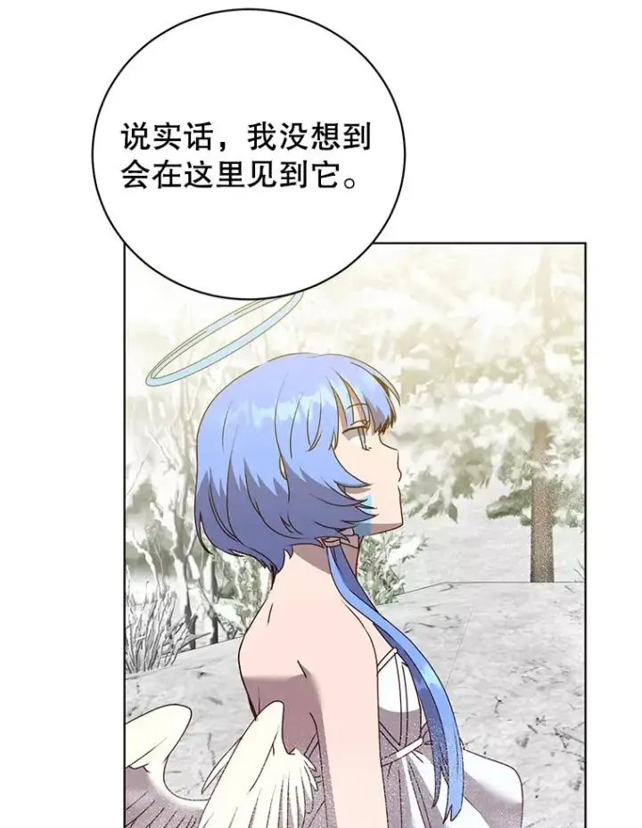 《顶级英雄归来》112.尚德拉的分身图16