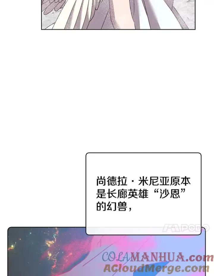 《顶级英雄归来》112.尚德拉的分身图17