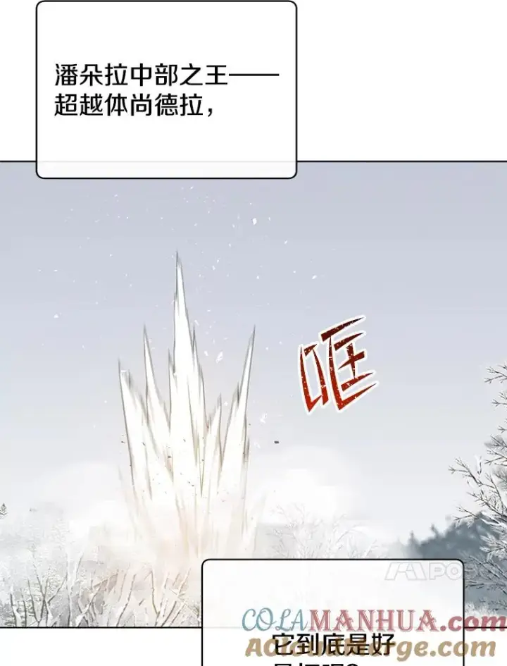 《顶级英雄归来》112.尚德拉的分身图81
