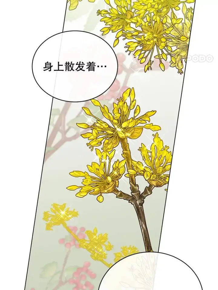 《顶级英雄归来》71.马车图108