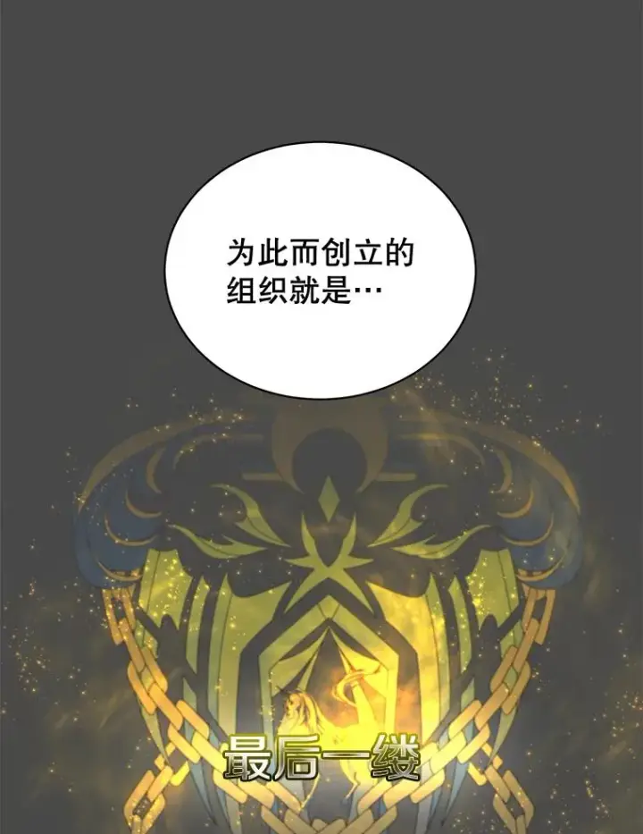 《顶级英雄归来》82.秘密骑士团图11