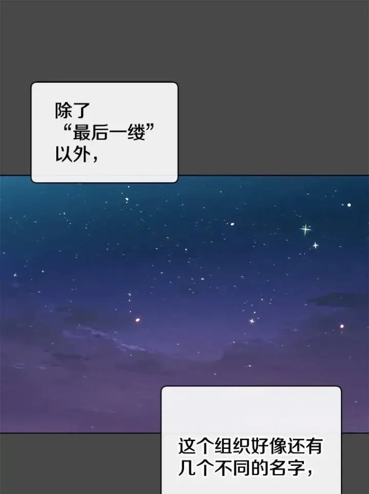 《顶级英雄归来》82.秘密骑士团图15