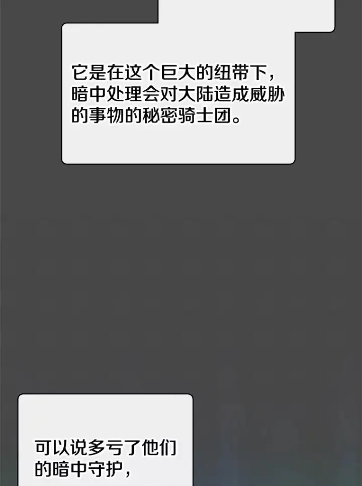 《顶级英雄归来》82.秘密骑士团图16
