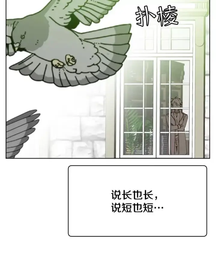 《顶级英雄归来》82.秘密骑士团图86