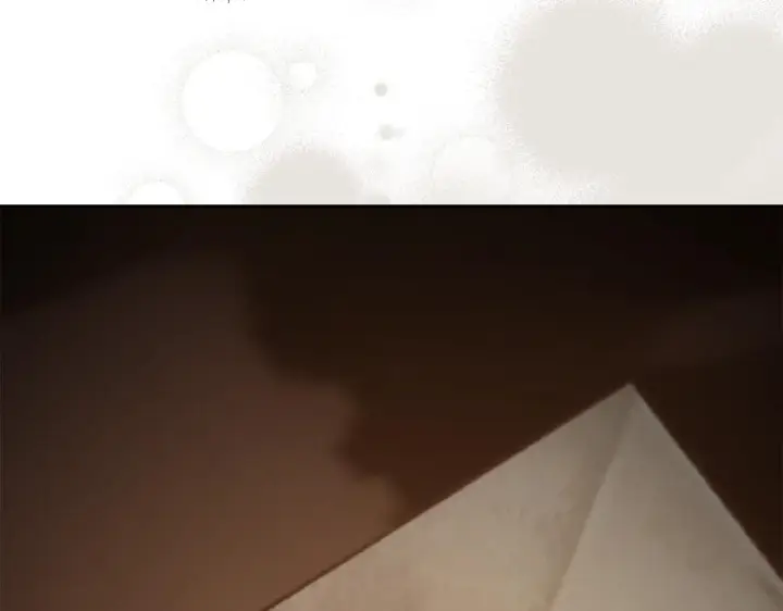 《冬城的小囚犯》第66话 茜茜图87