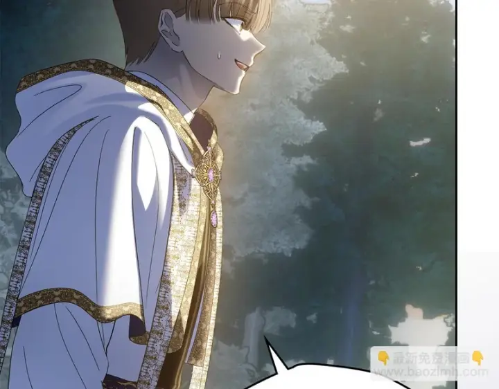 《冬城的小囚犯》第89话 魔像大师图48