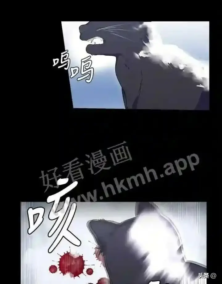 《读心少年利沙度》1.成人仪式图22