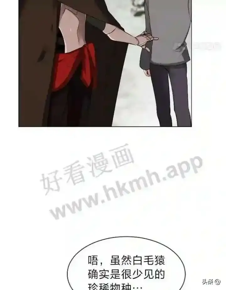 《读心少年利沙度》5.白色猛兽图54