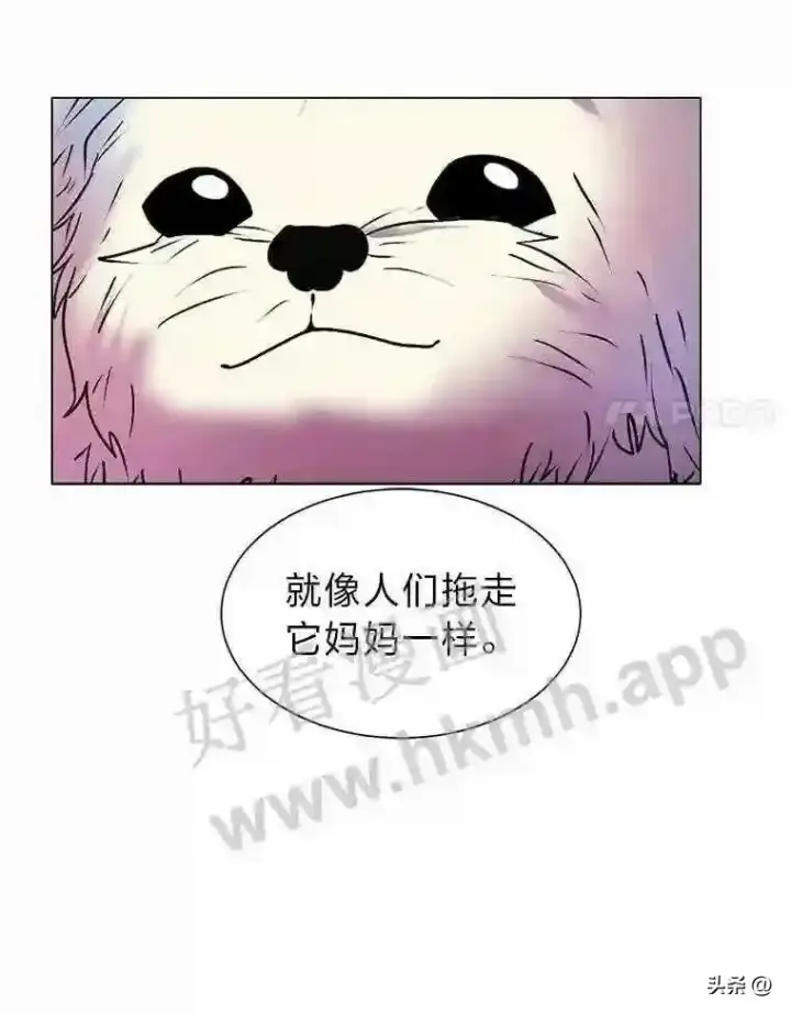 《读心少年利沙度》14.希露的恐惧图68