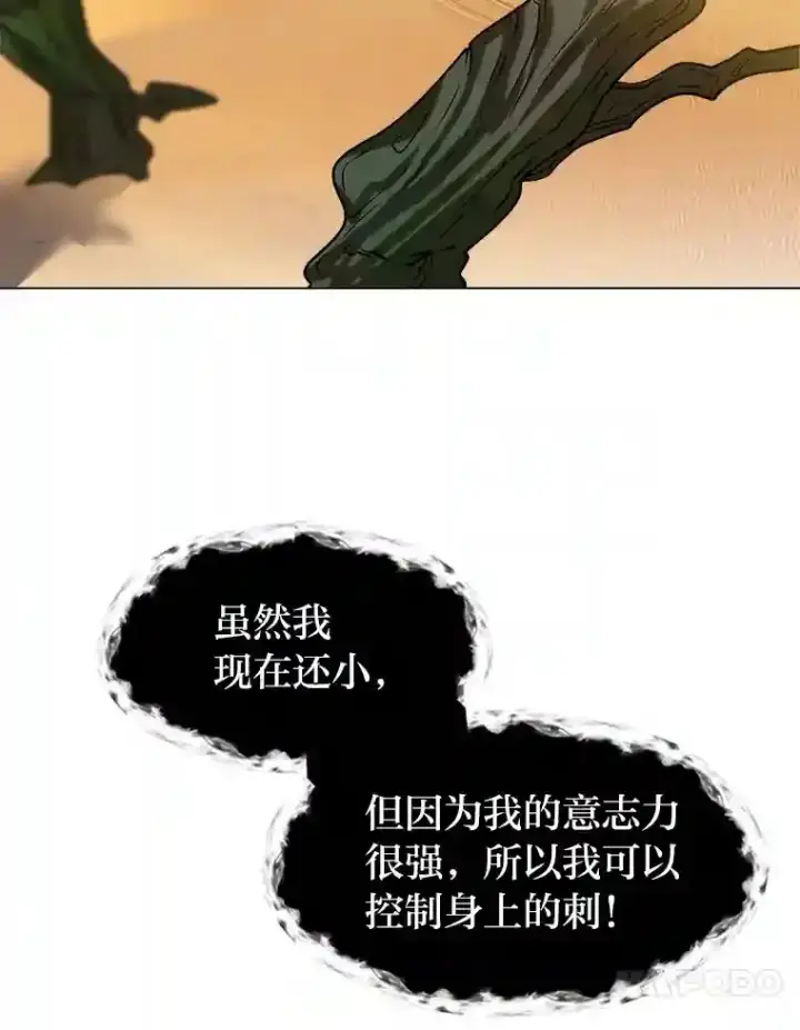 《读心少年利沙度》24.仙人掌阿胡尔图67
